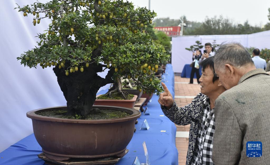 狗博官方网站